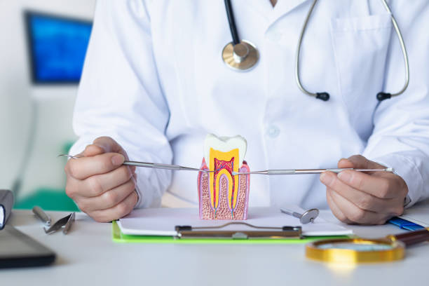 Best Emergency Dentist for Lost Fillings or Crowns in Cedar Knolls, NJ